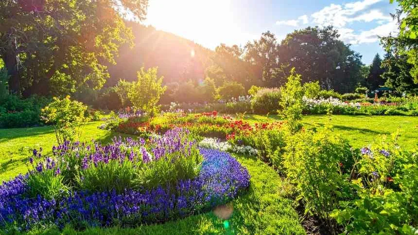 Raised Garden Beds vs. In-Ground Gardening: Which Is Best for Your Backyard?
