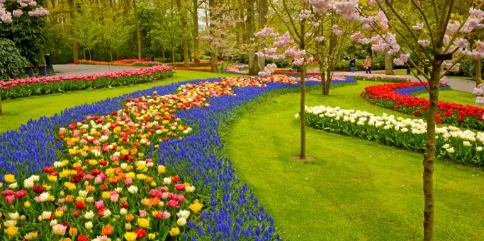 The Ultimate Guide to Choosing the Best Garden Tools and Equipment for Your Backyard Oasis