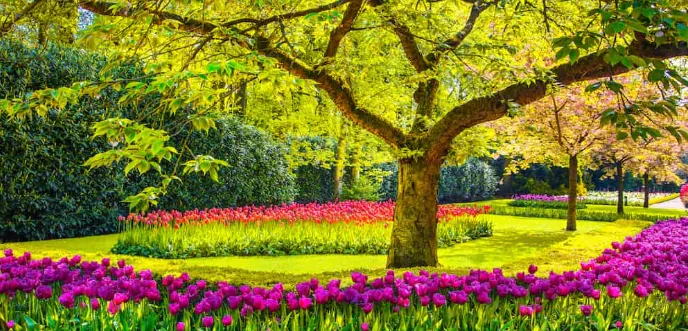 The Ultimate Guide to Choosing the Best Garden Tools and Equipment for Your Backyard Oasis