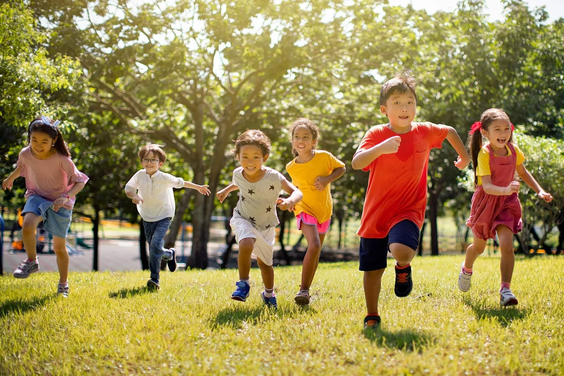 The Ultimate Kids' Category Buying Guide: How to Select Safe, Durable, and Age-Appropriate Products