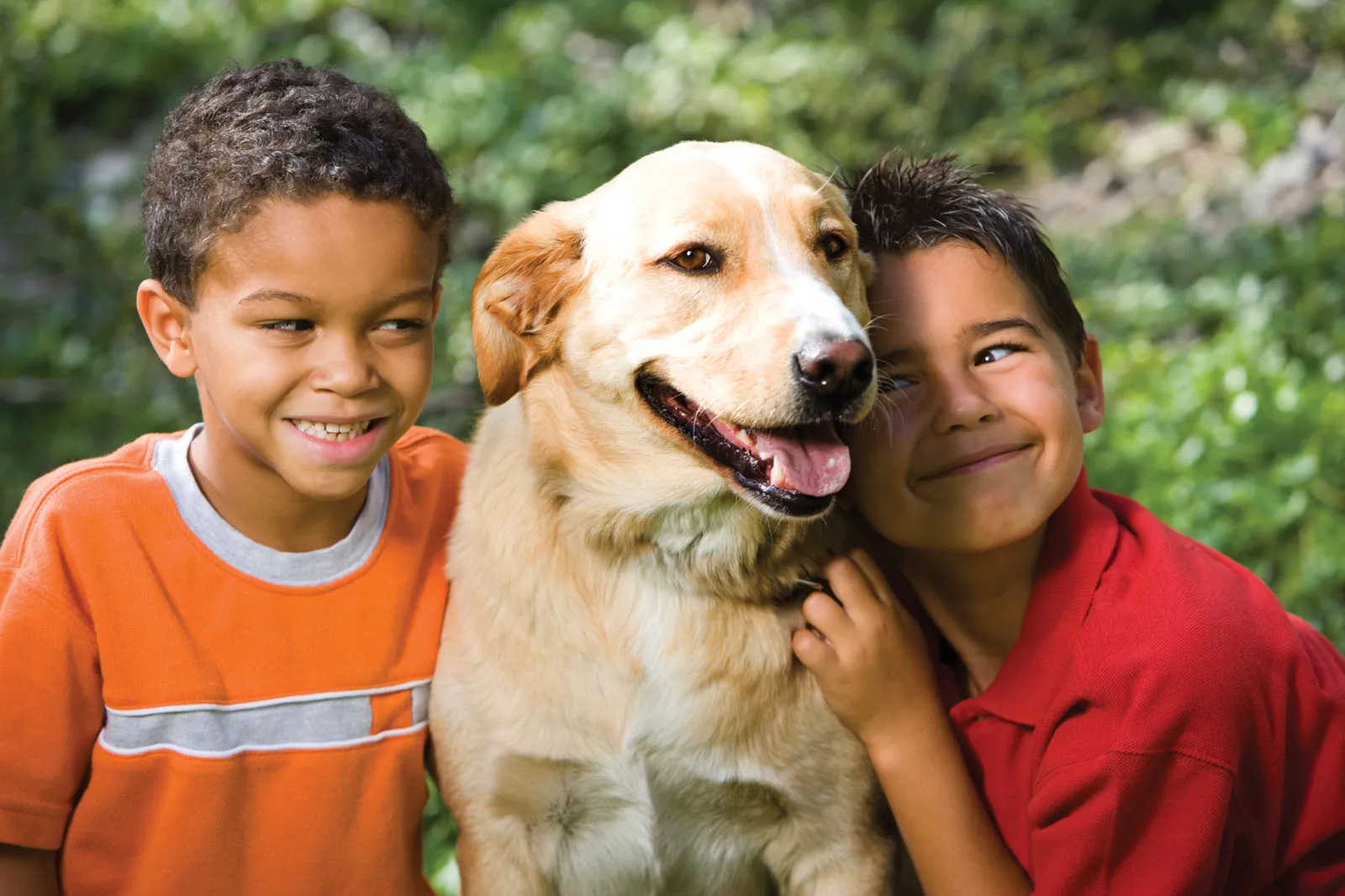 The Ultimate Guide to the Best Pet Products: Elevating Your Companion’s Quality of Life